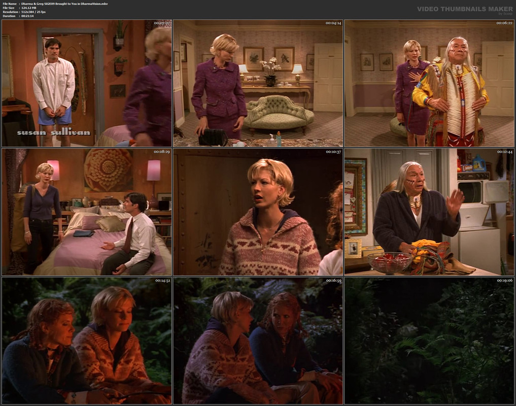 Dharma & Greg S02E09 Brought to You in DharmaVision.mkv