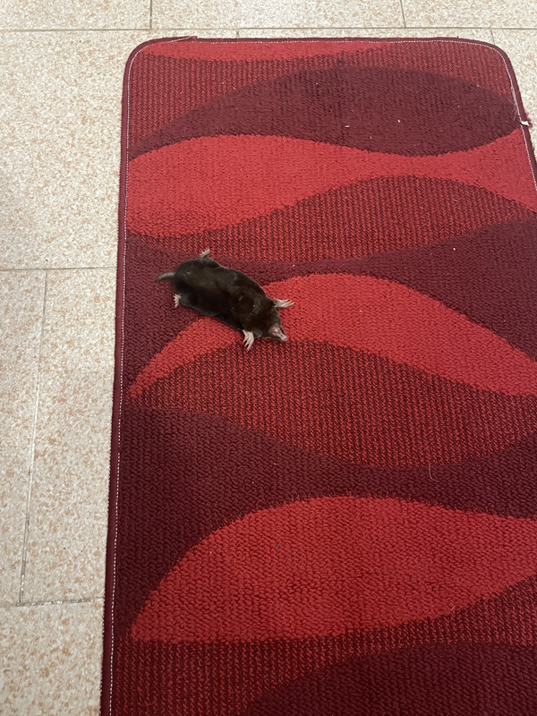 0364EF1E-0B54-4F30-B5F2-980A1F11F9FC