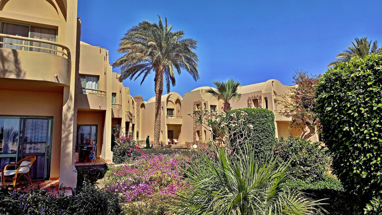 Shams Alam (37)'