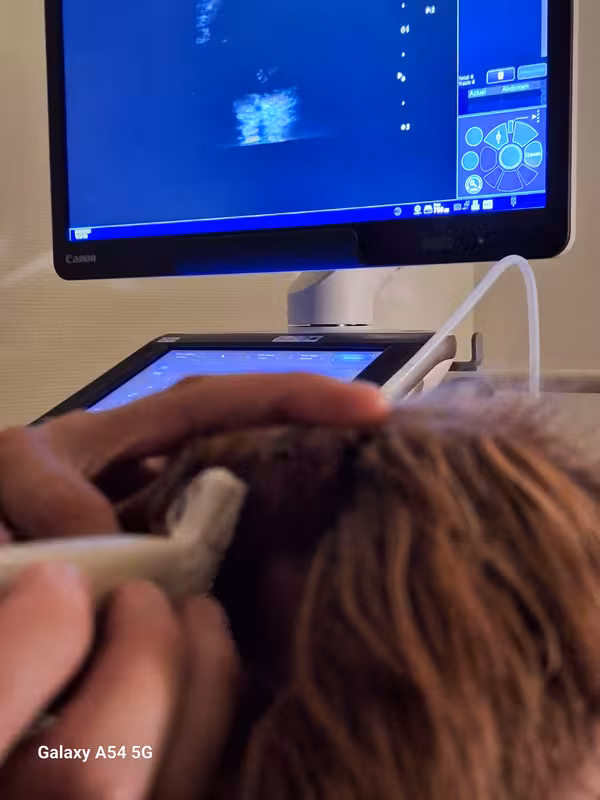 [Image: 20240924-150843.avif]