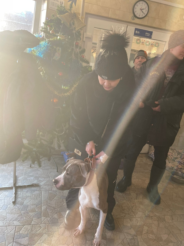 5594DF51-3C91-4876-806E-84FB05DE3B2B