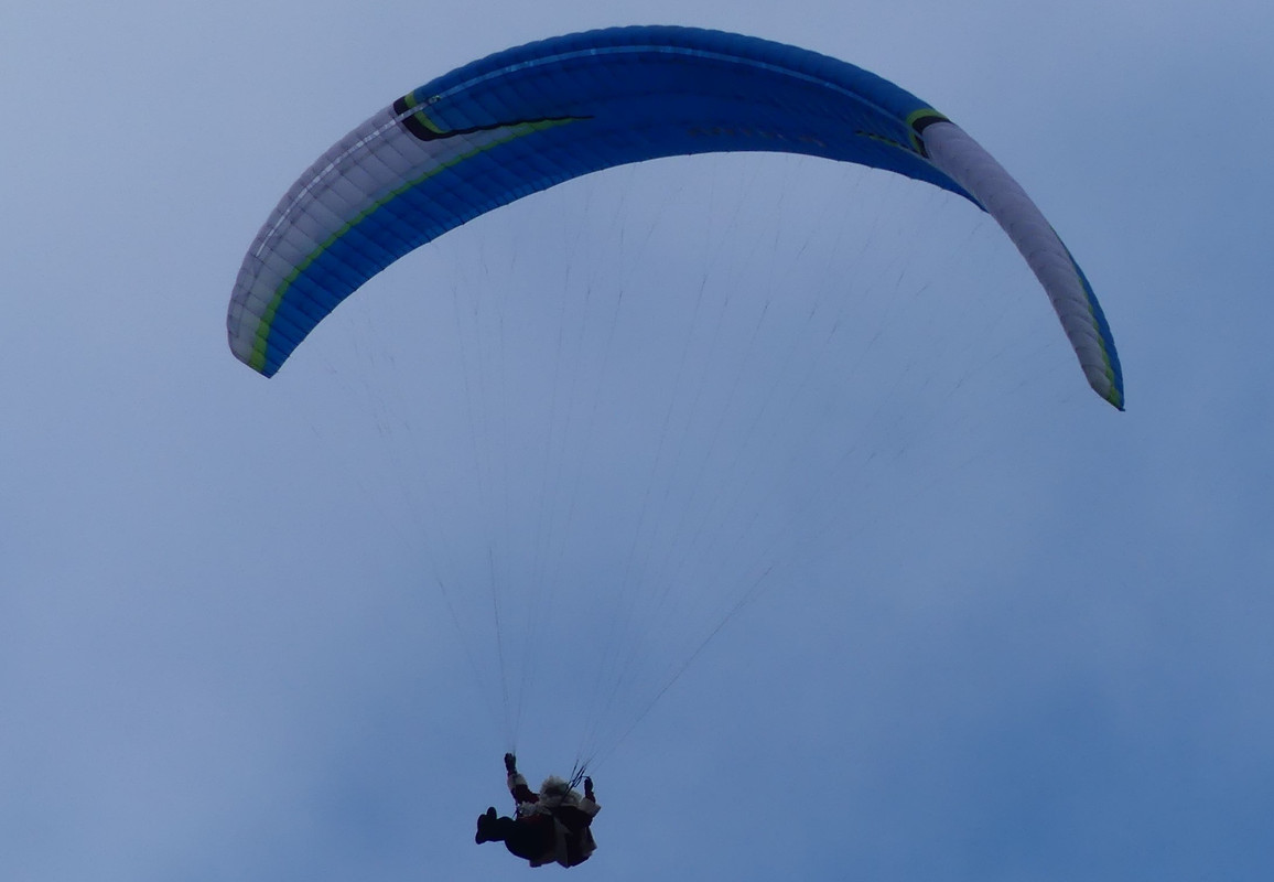 P1060005-2.jpg