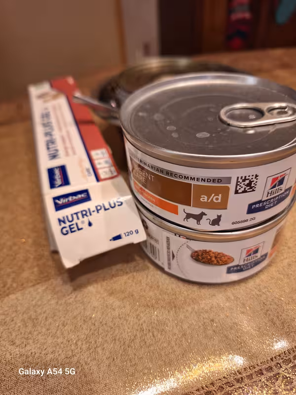 [Image: 20241222-193102.avif]