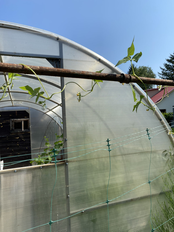 1D4E3B3A-536B-4DF0-AA35-AE54C980AB14