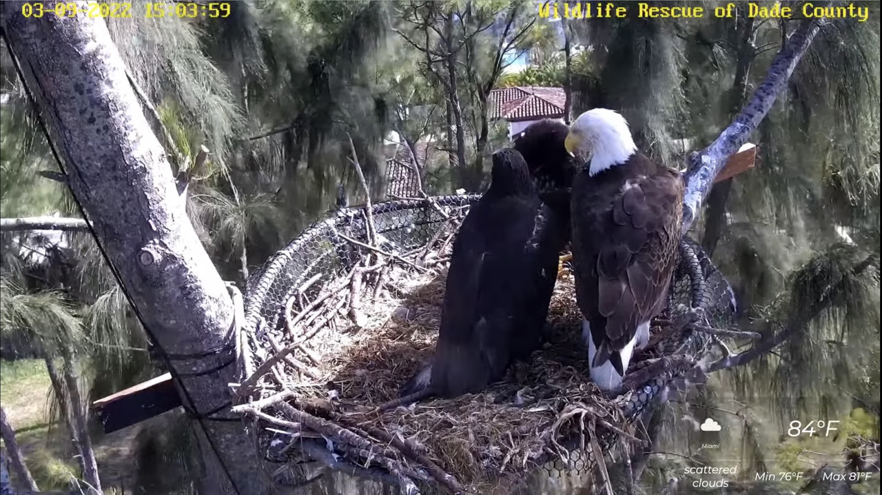 915C24D7-9E9D-4FBC-A226-5BBBC9FBC41F