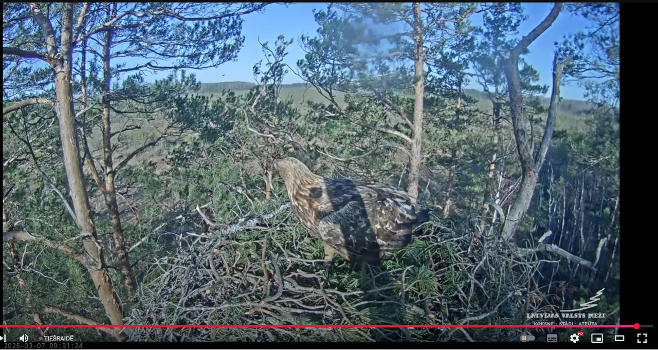 Ekrānuzņēmums 2025-03-07 095047