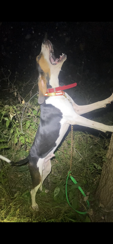 1D7CA8D9-06BA-45FA-9F84-C8222118ED89