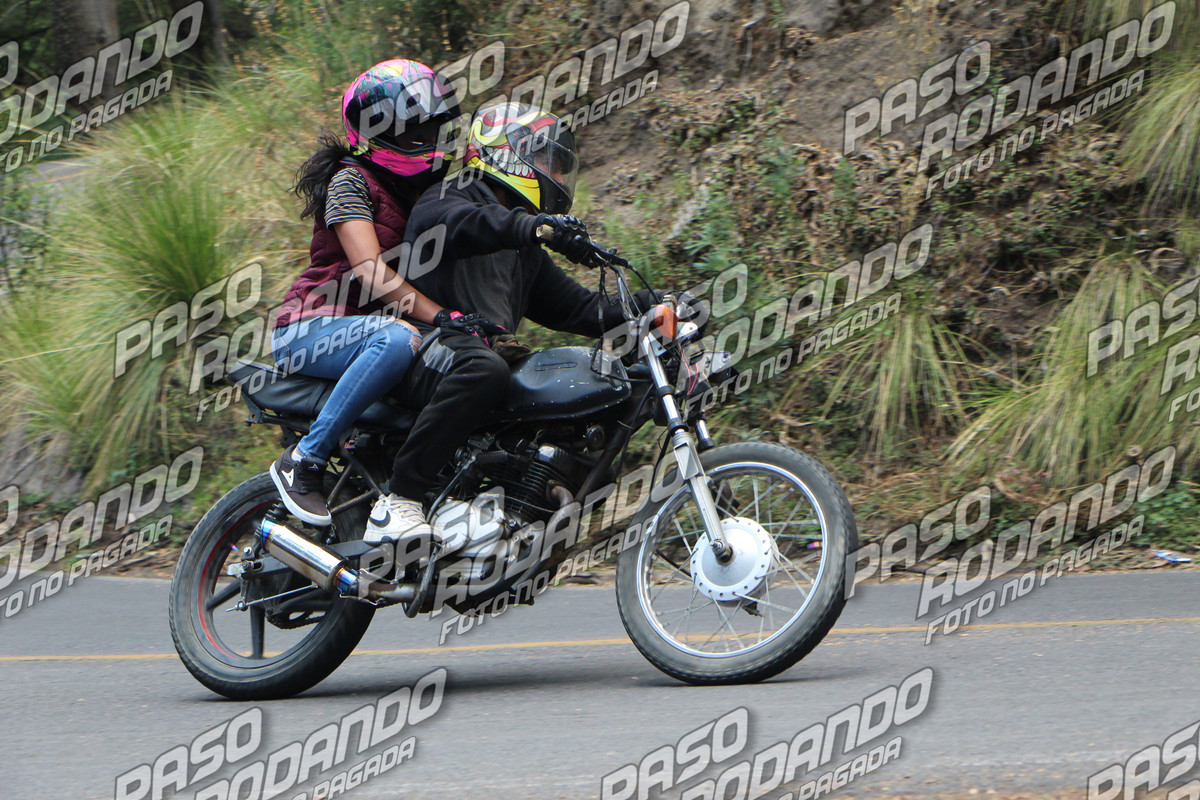 IMG 8729 wm 9286500 8 watermarked — Postimages