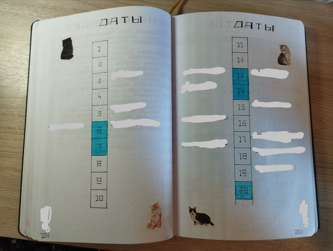 photo_2024-04-30_13-09-21 (4)