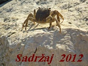 4-sadrzaj-2012