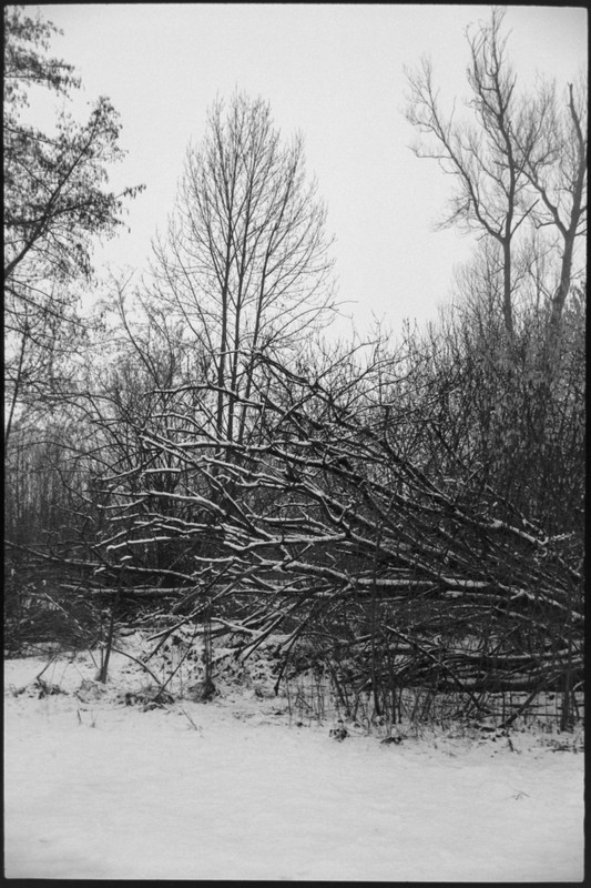 Rollei 35 S_14 16 feb2022_13 (853x1280)