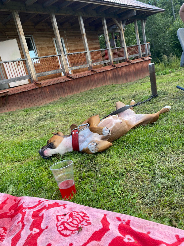 55D25B97-62B4-470F-ACE6-CB8EF9966D3E