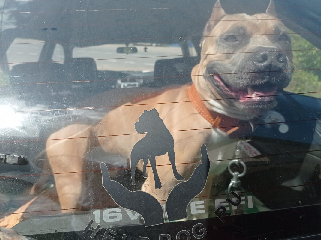 65EB2EDB-0F0E-40A3-8EBA-F9631C7B39C2