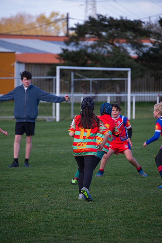 tournoi-de-latlantique-2026-adonis-griffon-159-55181455488-l