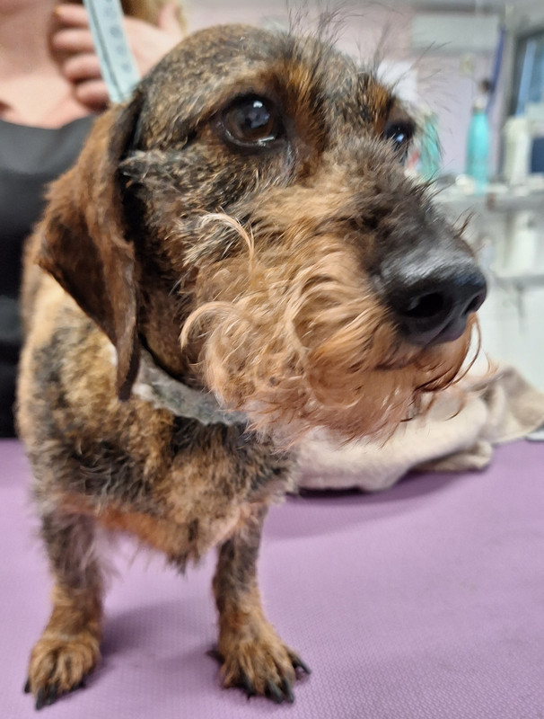 [Image: 20231115-165747.jpg]