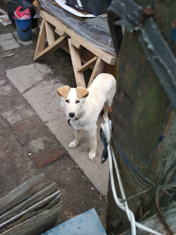 кремушка три