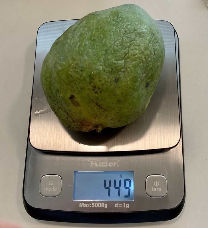 E36E6627-70B6-4642-92B3-7EC747A57B73