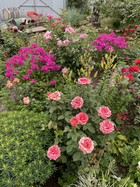https://i.postimg.cc/LsPCVr3n/IMG-6482.jpg