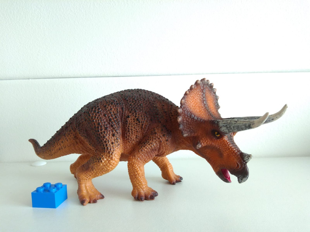 mojo - Mojo Fun 2019 animals. photos. Mojo-Fun-Triceratops