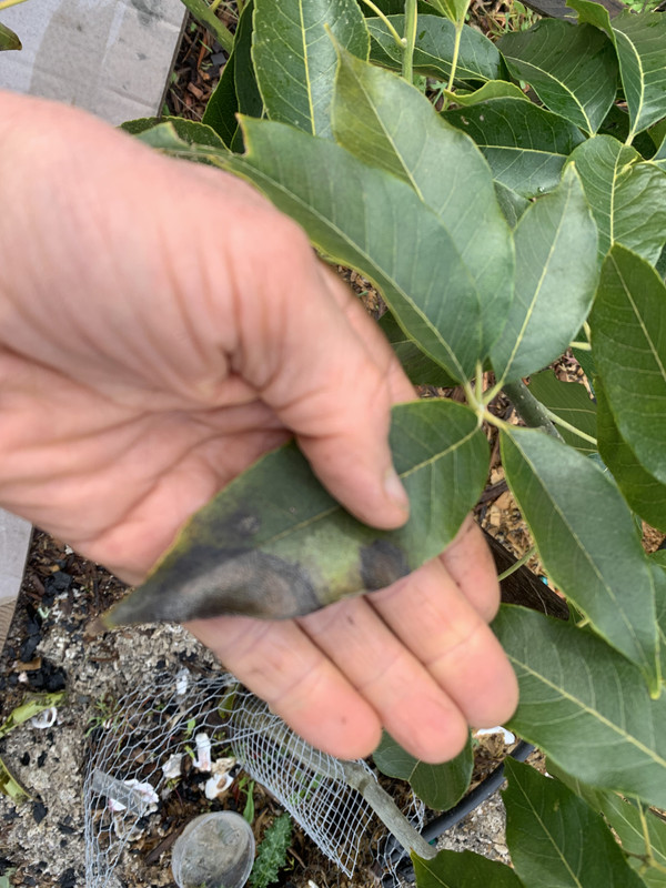 308BFDBE-4546-466D-B556-65EE55D28B2E