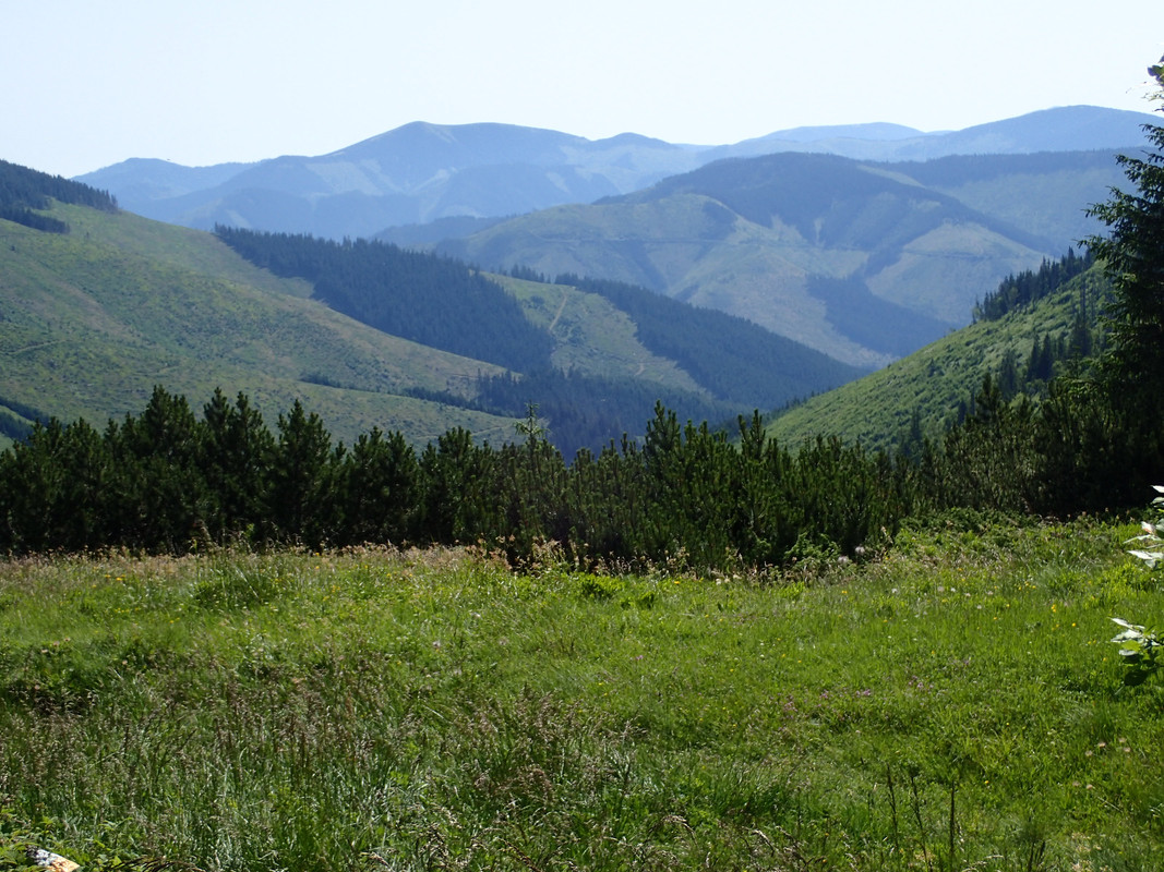 2019_0630DUMBIER_TG0030