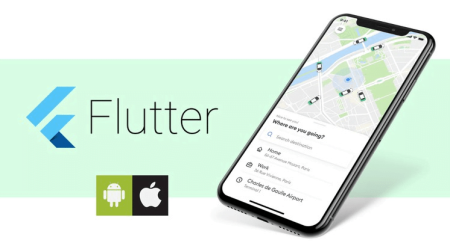 Build an UBER Clone App Using Flutter and Firebase (2020) by Ufinix Academy