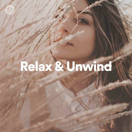 VA - 100 Tracks Relax & Unwind Playlist Spotify (2020)