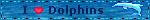 dolphins