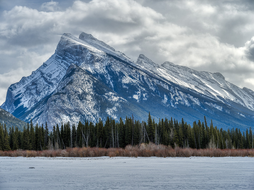 IMAGE: https://i.postimg.cc/LsQDWbbw/DSCF0303-Dx-O-copy.jpg