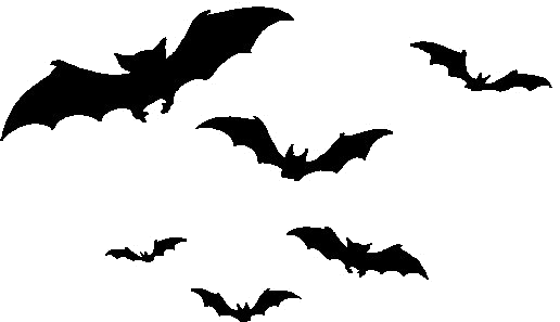 [Bild: image.png]