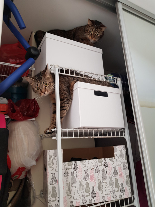 20190402-140235.jpg