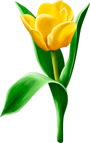 KBK_PrettyRabbit (80)