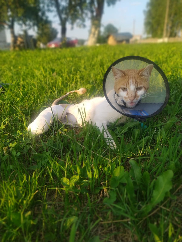 изображение_viber_2022-07-02_21-41-55-087