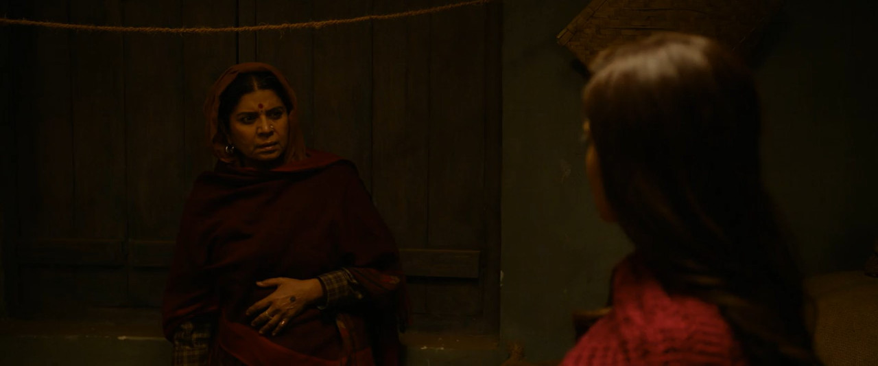 Chhorii 2021 WebRip [Hindi] 480p, 720p ESub Screenshot