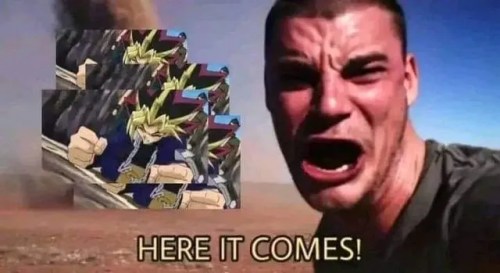 1000047395