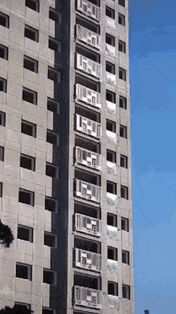 GIFs-3