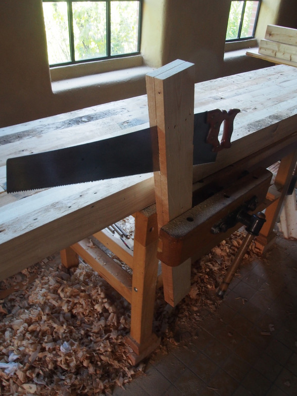 P1010549