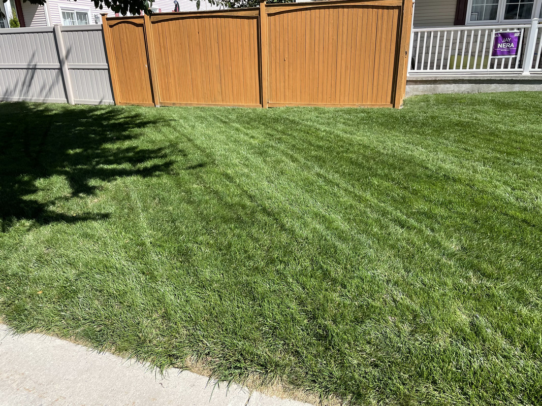 14B3A30E-958F-460C-8F44-A3CE9F30253D