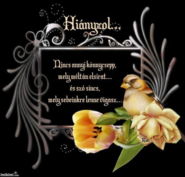 11951754_641287072638376_6141191073458593974_n (1)