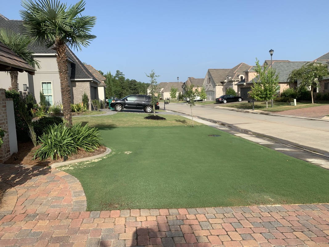 CA7DCB0E-B731-4638-8B99-83B9544C757C