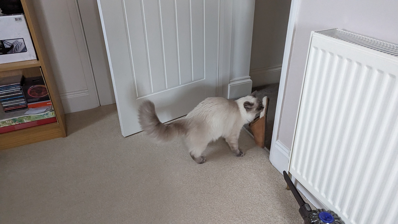 PXL_20240321_153724252