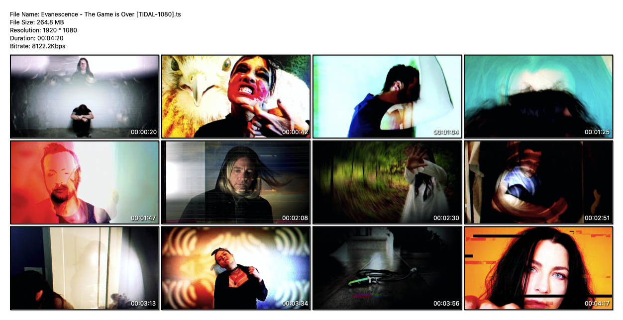 Evanescence The Game Is Over Tidal 1080 Sharemania Us