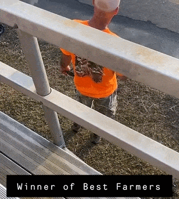 daily-gifdump-3378-02.gif