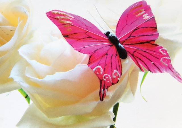 2810939F-072A-44D3-B9BC-1D98BA43D27E