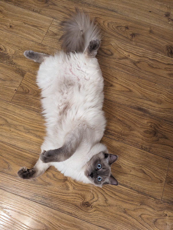 PXL_20240511_200158607