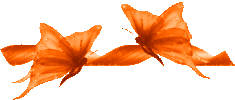 butterflies_2_orange