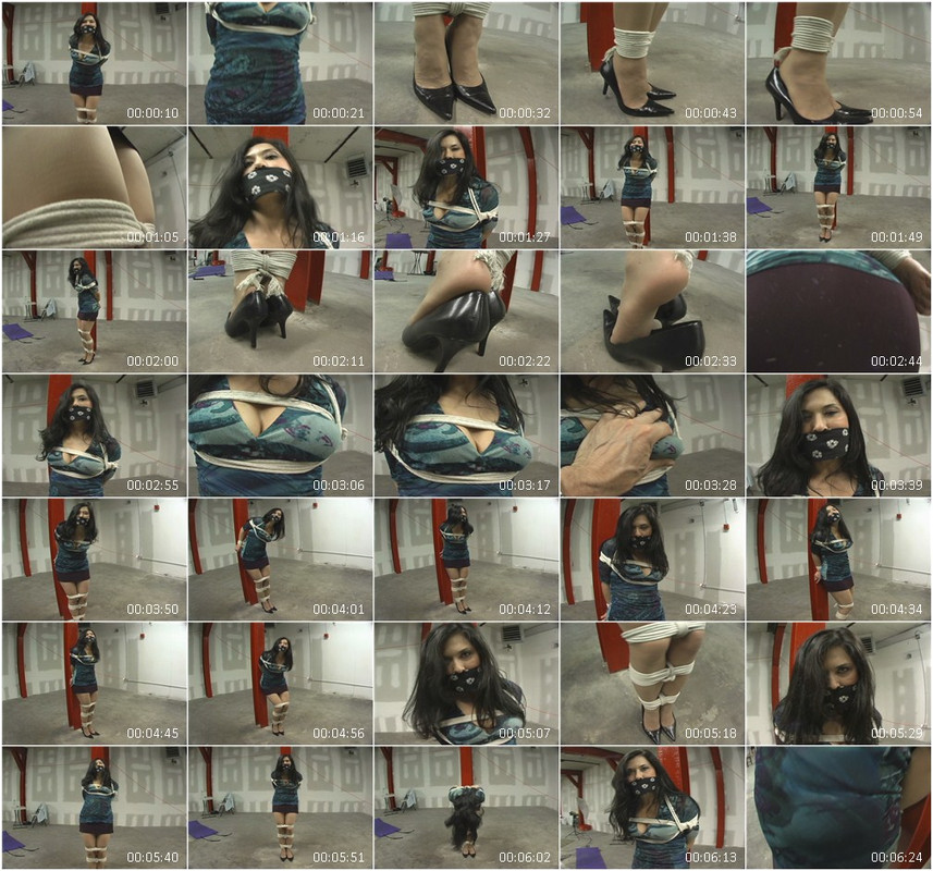0839BD.wmv