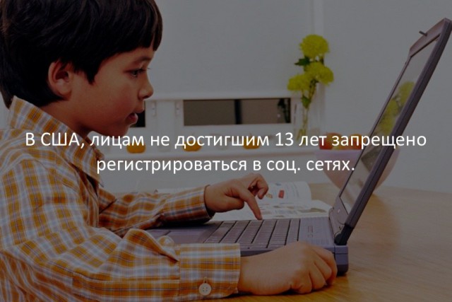 8631396.jpg