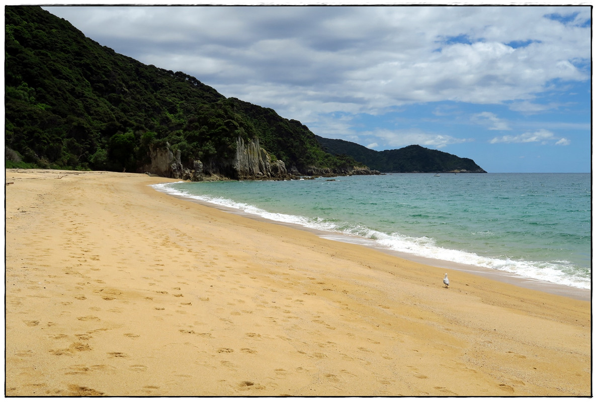 Escapadas y rutas por la Nueva Zelanda menos conocida - Blogs de Nueva Zelanda - Golden Bay (Navidad 2020, II) (10)