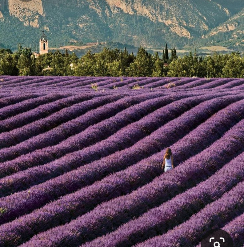 Screenshot_20230717_224917_Pinterest